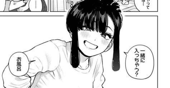姉ちゃんの逆恨みっくすをめぐる誤解の整理