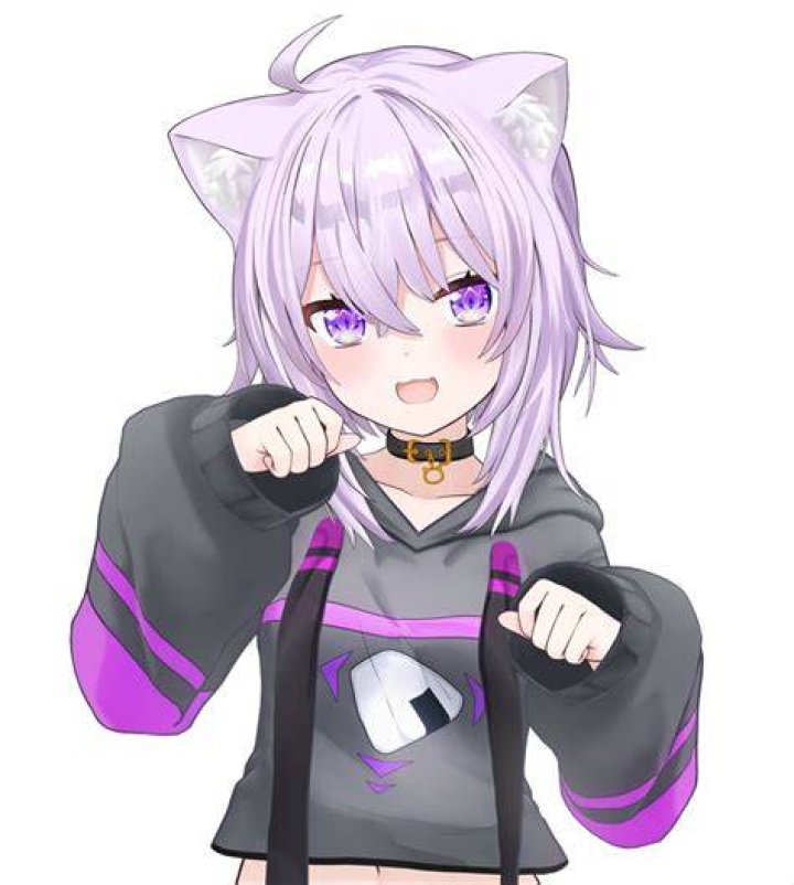 猫又おかゆの活動イメージ