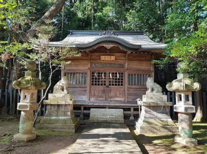 ガラクタ鑑定 団 小山総本店で“眠りっぱなし”を蘇らせる——持ち込み前のコツ