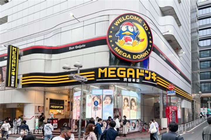 メガドン・キホーテ 柏店を徹底ガイド—場所、便利さ、買い物のコツ
